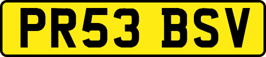 PR53BSV