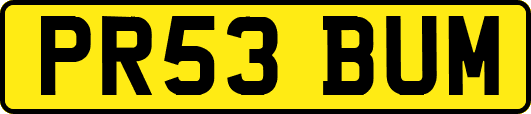 PR53BUM