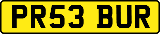 PR53BUR