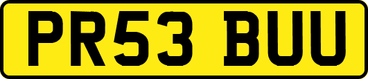 PR53BUU