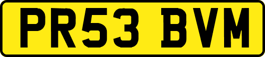 PR53BVM