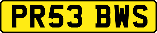 PR53BWS