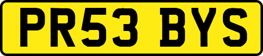 PR53BYS