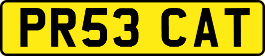 PR53CAT