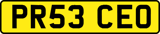PR53CEO