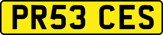 PR53CES