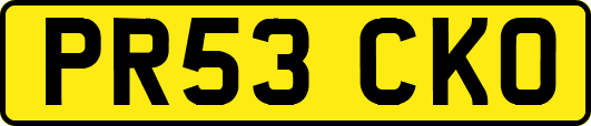 PR53CKO