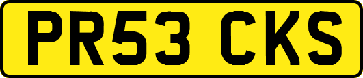 PR53CKS