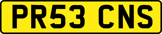 PR53CNS