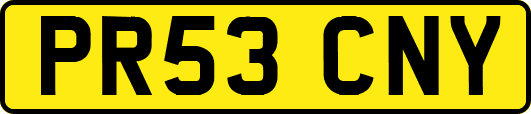PR53CNY
