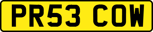 PR53COW