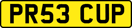 PR53CUP