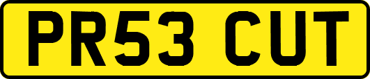 PR53CUT