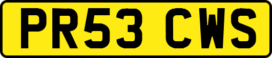 PR53CWS