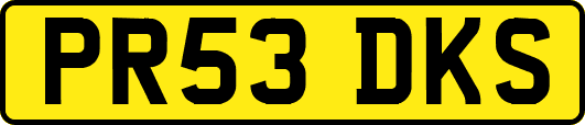 PR53DKS