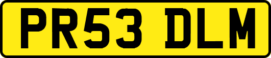 PR53DLM