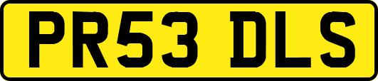 PR53DLS