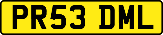 PR53DML