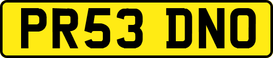 PR53DNO