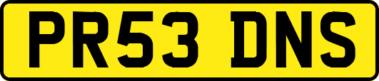 PR53DNS