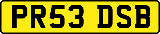 PR53DSB
