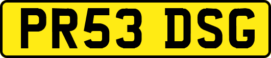 PR53DSG