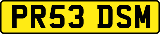PR53DSM