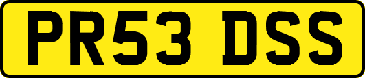 PR53DSS