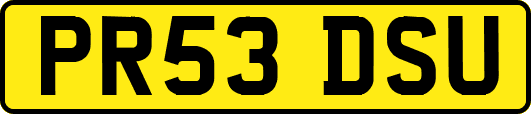 PR53DSU