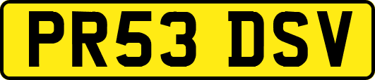 PR53DSV