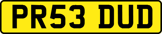PR53DUD