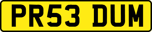 PR53DUM