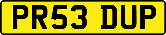PR53DUP