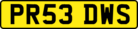 PR53DWS