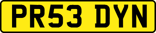 PR53DYN