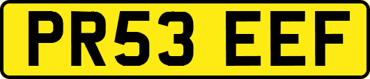 PR53EEF