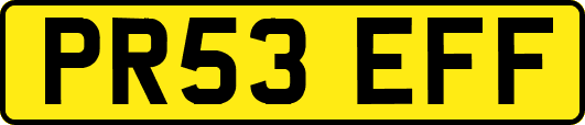 PR53EFF