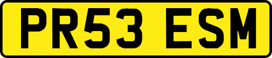 PR53ESM