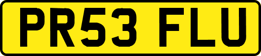 PR53FLU