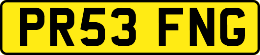 PR53FNG