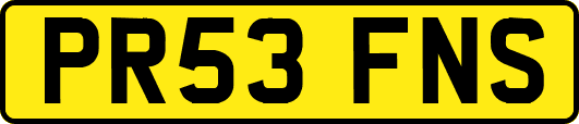 PR53FNS