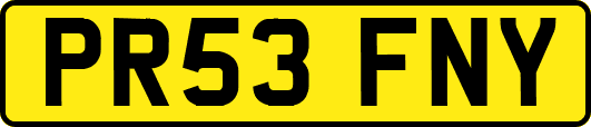PR53FNY