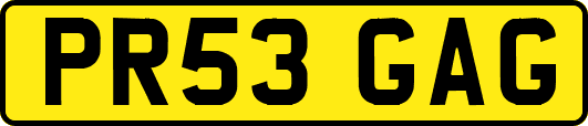 PR53GAG
