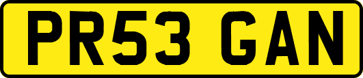 PR53GAN