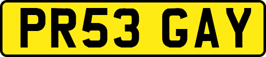 PR53GAY