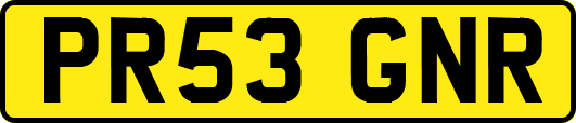 PR53GNR