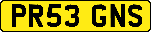 PR53GNS