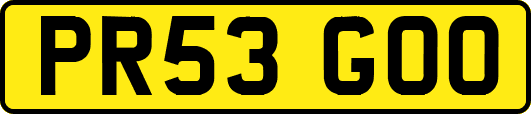 PR53GOO