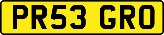 PR53GRO