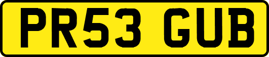 PR53GUB